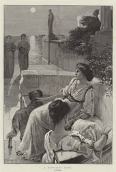 Een Maanlicht Idylle